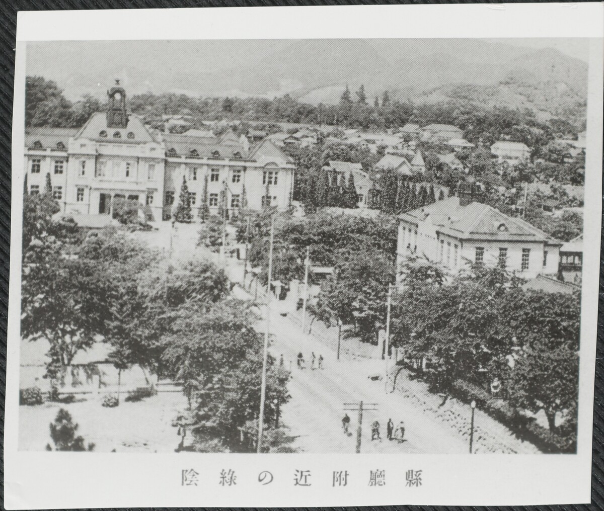 〔写真〕昔の街並み 県庁付近の緑陰