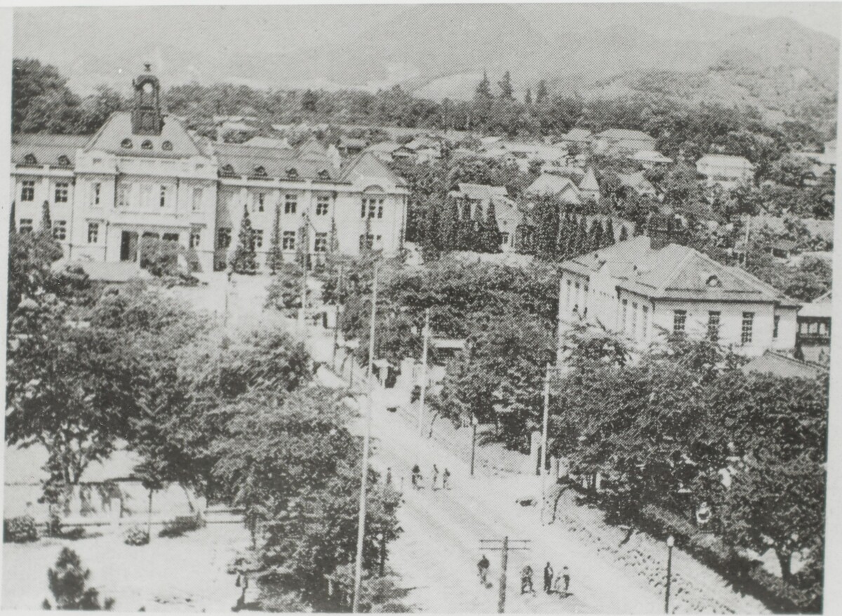 〔写真〕昔の街並み 県庁付近の緑陰