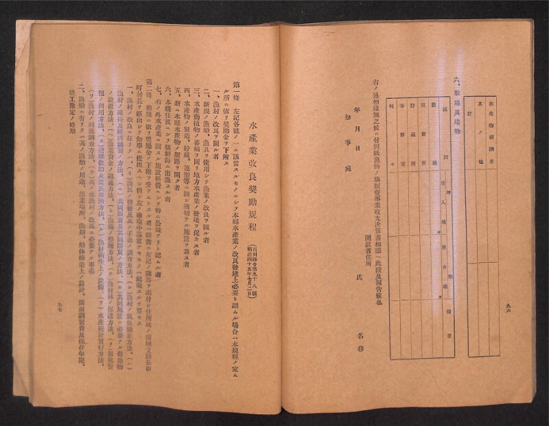 深見区有文書0315 - ページ 51