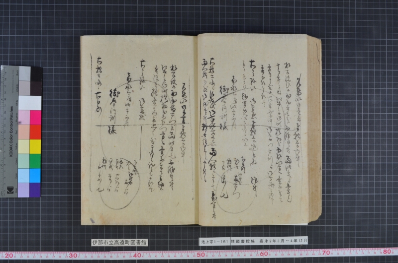 諸願書控帳 - ページ 53