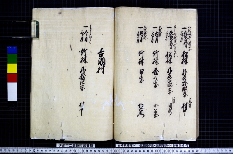 信濃国伊奈筑摩両郡村々御林改帳 - ページ 49