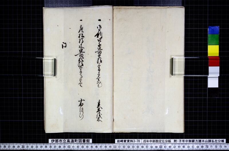 戌年中御勘定仕分帳 - ページ 17