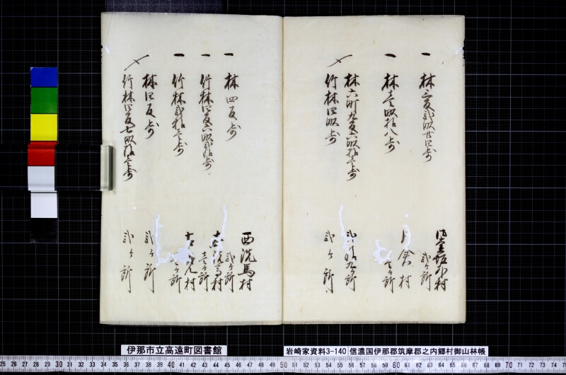 信濃国伊那郡筑摩郡之内郷村御山林帳 - ページ 11