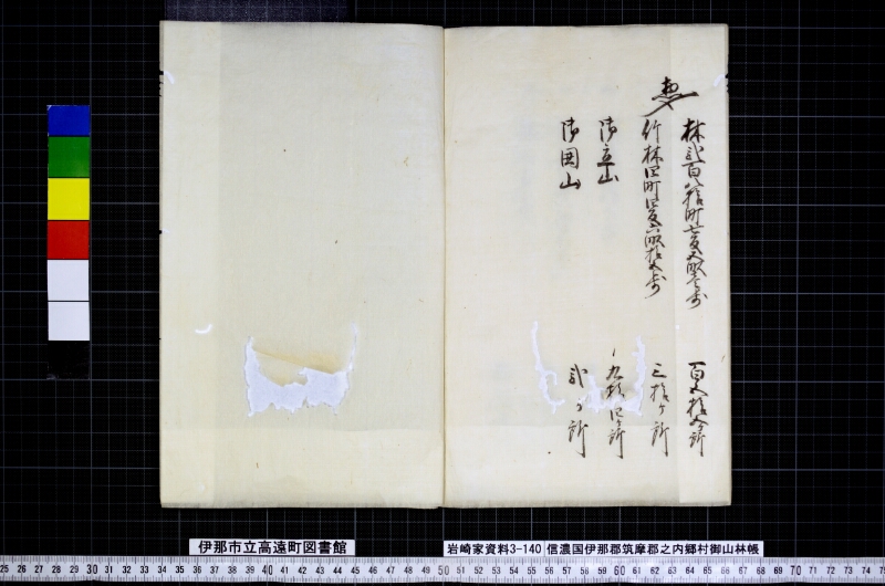 信濃国伊那郡筑摩郡之内郷村御山林帳 - ページ 12