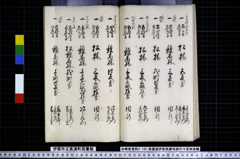 信濃國伊奈筑摩両郡村々官林改帳 - ページ 33