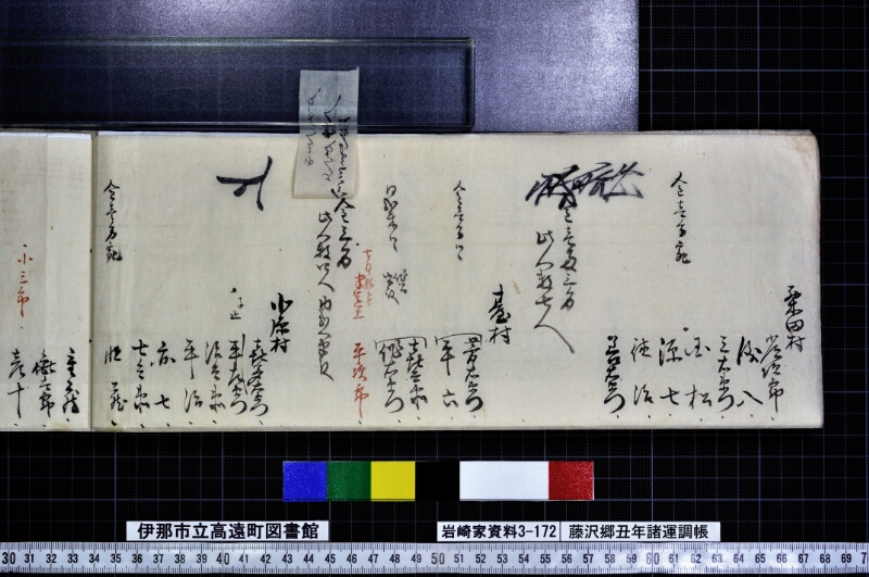 藤沢郷丑年諸運調帳 - ページ 10