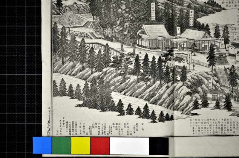 桂泉院・樹林寺・東光寺縁起書、蓮華寺由来書、付夕顔観音記 - ページ 30