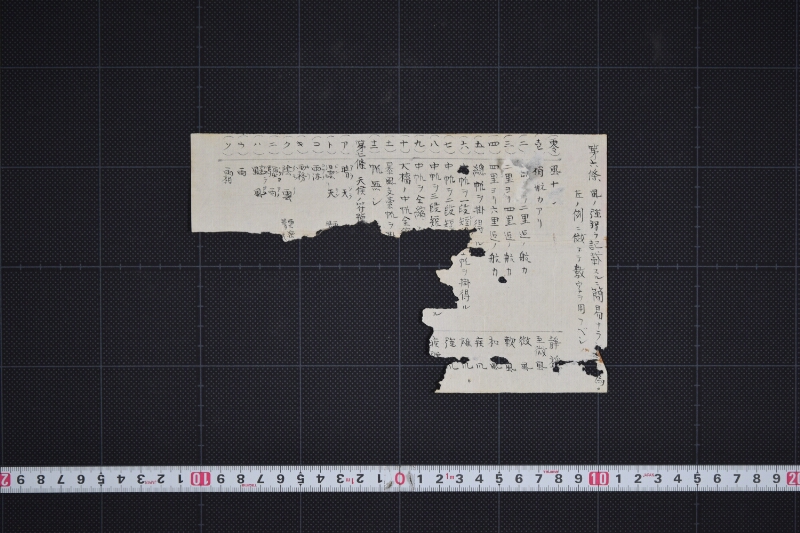 条目書上（断簡） - ページ 2