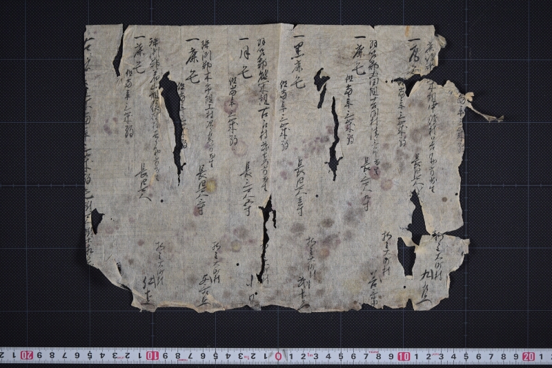 三歳駒色附尺附届書 - ページ 2