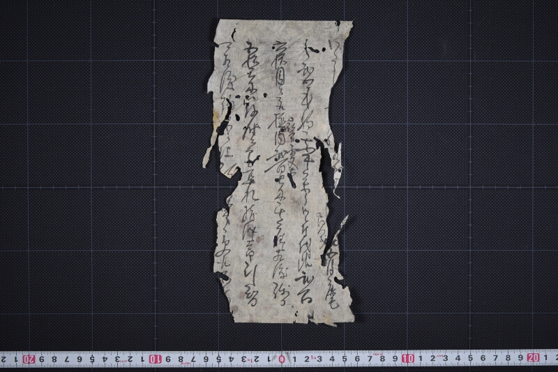 耕作馬買入の義に付書状（断簡） - ページ 3