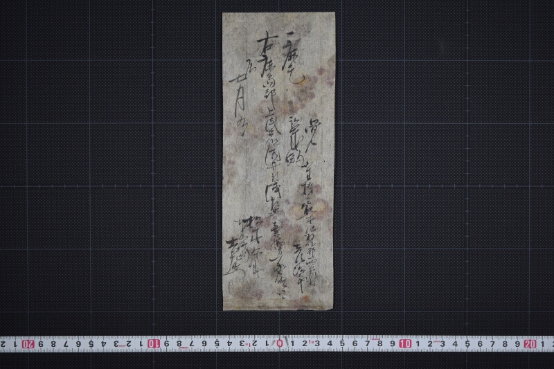 弐歳駒売払方承届書 - ページ 2