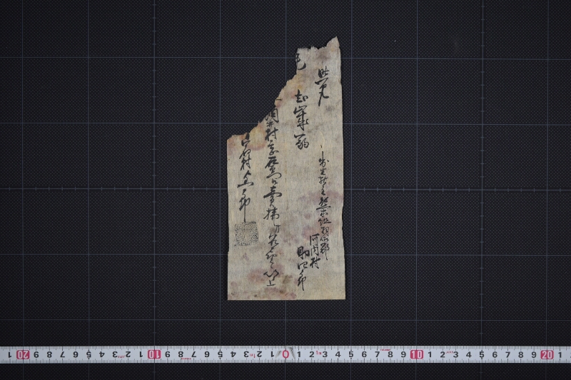 弐歳駒売払方承届書 - ページ 3