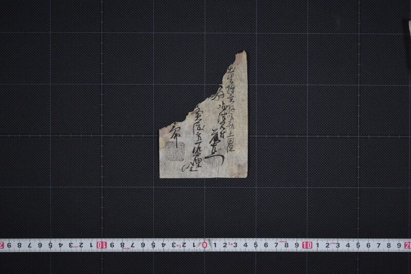 弐歳駒売渡方承届書 - ページ 3