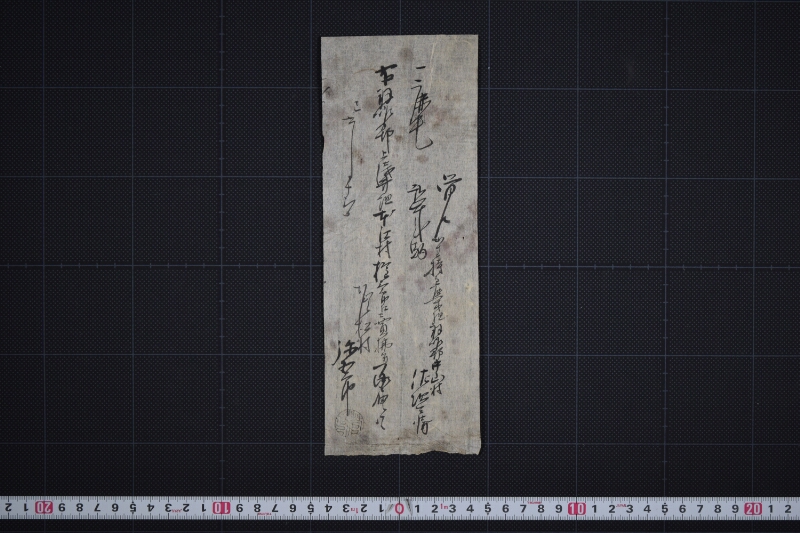 弐歳駒売払方承届書 - ページ 2