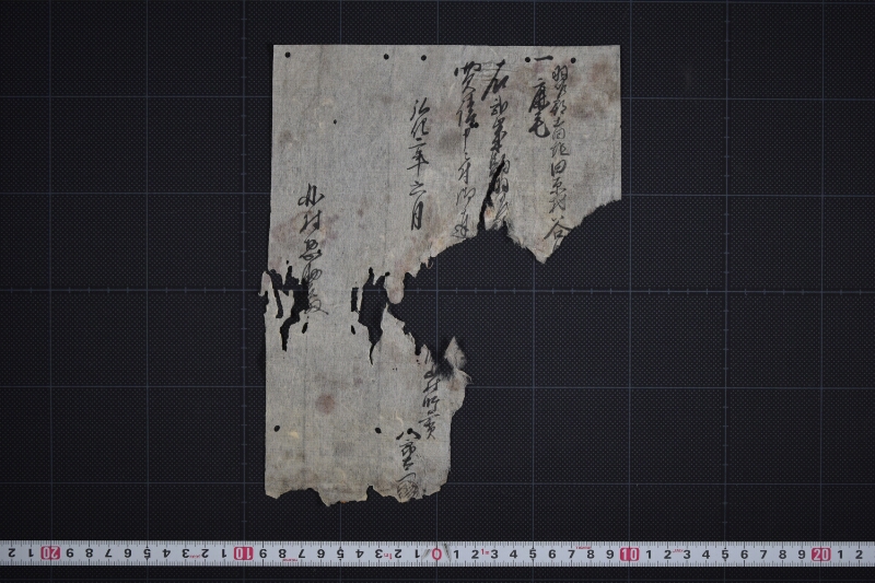 弐歳駒買請に付届書（断簡） - ページ 2