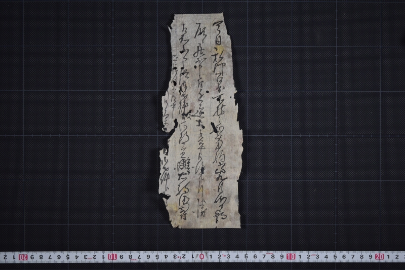 弐歳駒行衛不明に付断書（後欠） - ページ 2
