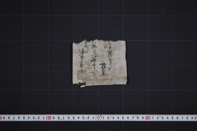 二歳駒売払承書（後欠） - ページ 3