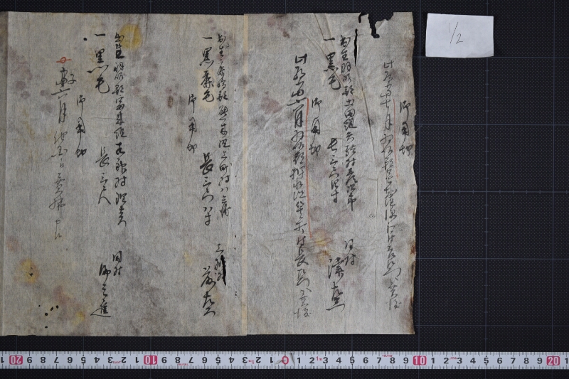 駒毛附・長サ書上帳（羽咋郡） - ページ 2