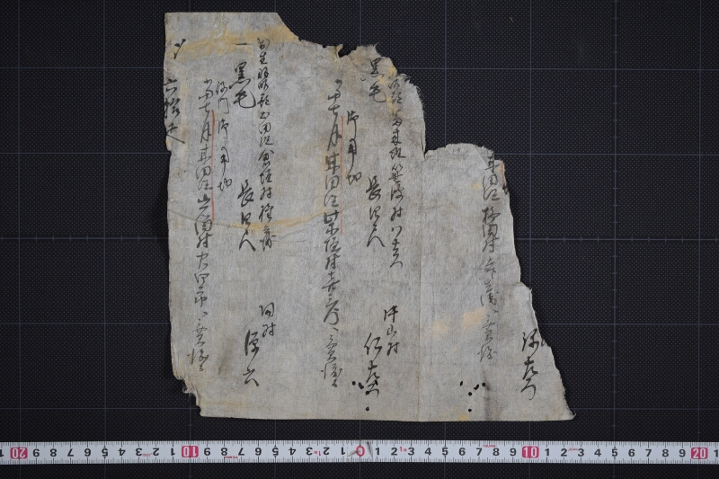 三歳駒毛附等書上申帳（断簡） - ページ 2