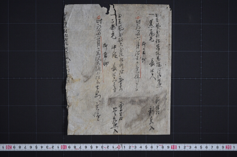 三歳駒毛附等書上申帳（断簡） - ページ 2