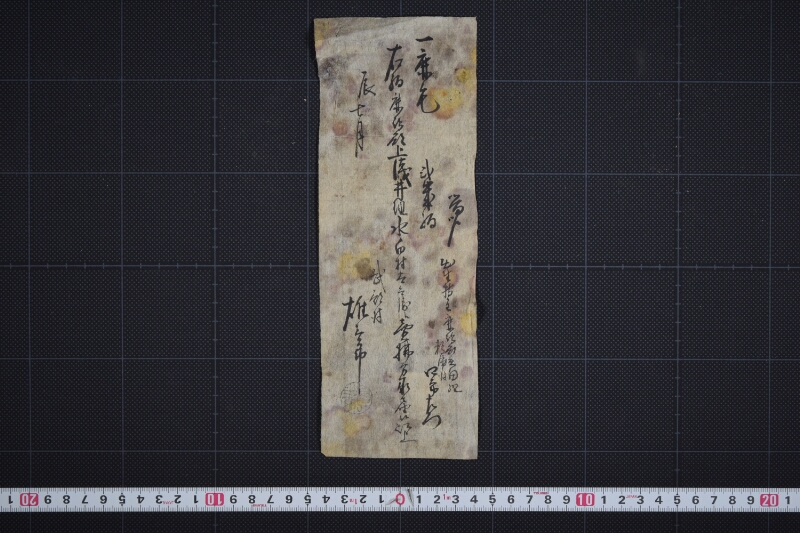 鹿毛弐歳駒売払承届書 - ページ 2