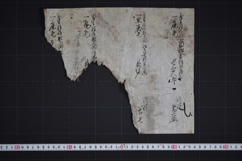羽咋郡土田組三歳駒毛附書出申帳（断簡） - ページ 2