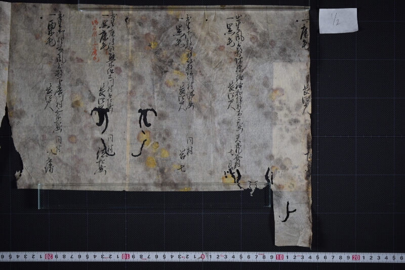 羽咋郡三歳駒毛附等書出申帳（断簡） - ページ 2