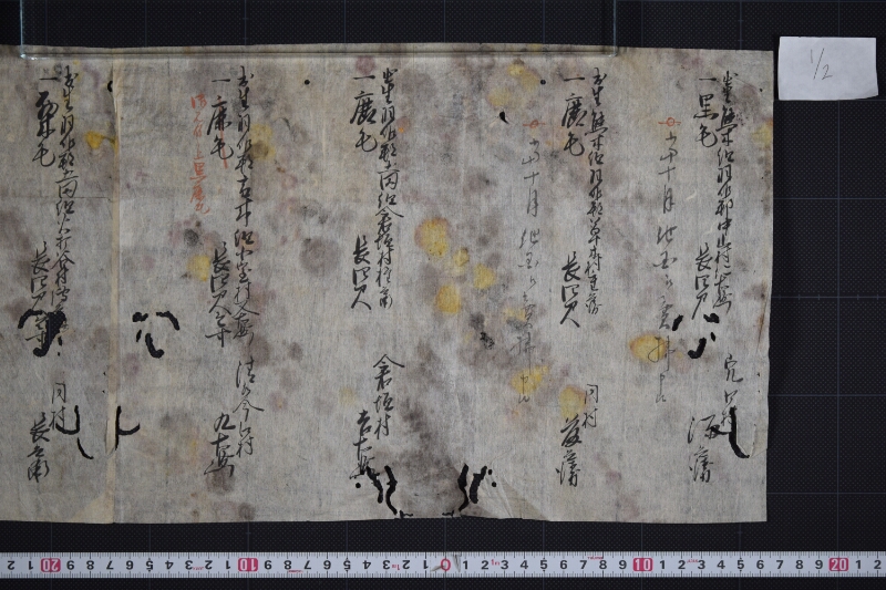 羽咋郡三歳駒毛附等書出申帳（断簡） - ページ 2