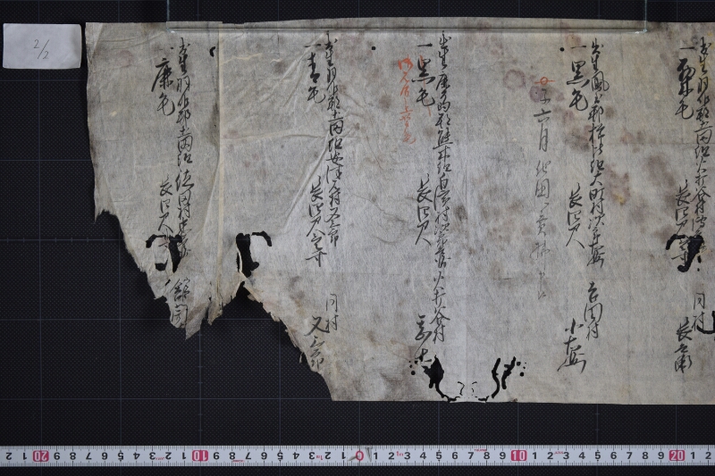 羽咋郡三歳駒毛附等書出申帳（断簡） - ページ 3