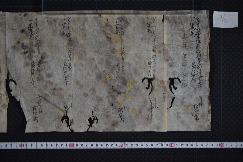 羽咋郡三歳駒毛附等書出申帳（断簡） - ページ 2
