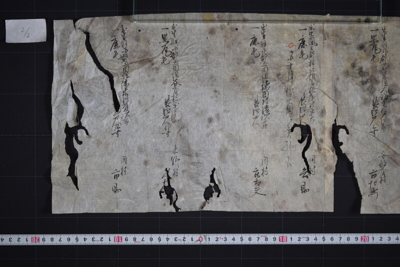 羽咋郡三歳駒毛附等書出申帳（断簡） - ページ 3