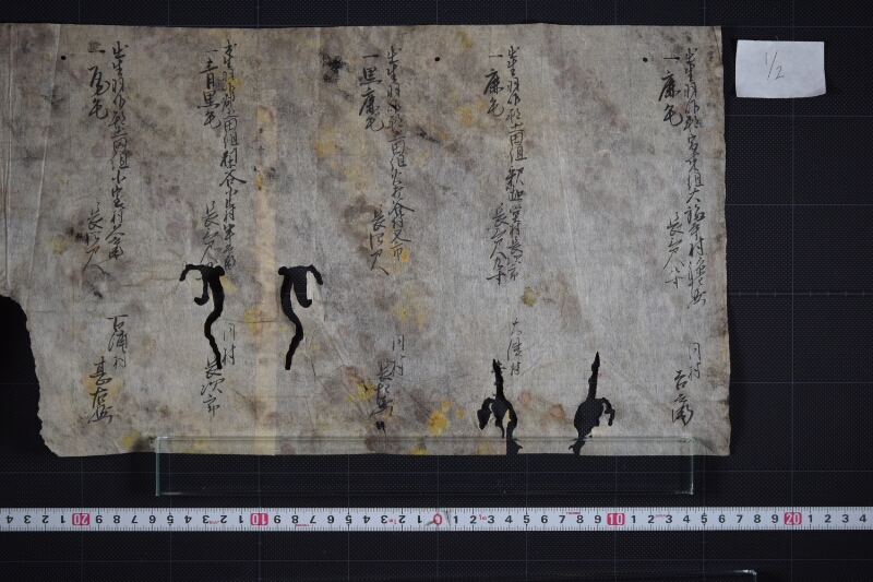 羽咋郡三歳駒毛附等書出申帳（断簡） - ページ 2