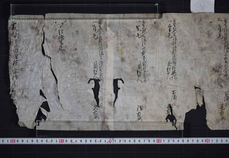 羽咋郡三歳駒毛附等書出申帳（断簡） - ページ 3