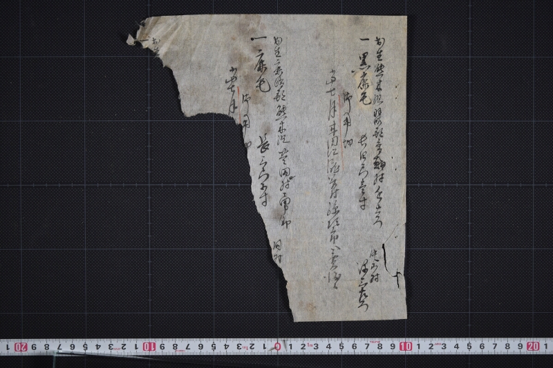 羽咋郡三歳駒毛附等書出申帳（断簡） - ページ 2