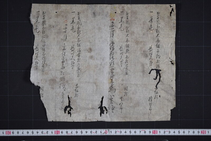 鳳至郡三歳駒毛附等書出申帳（断簡） - ページ 2