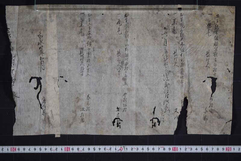 鳳至郡三歳駒毛附等書出申帳（断簡） - ページ 2