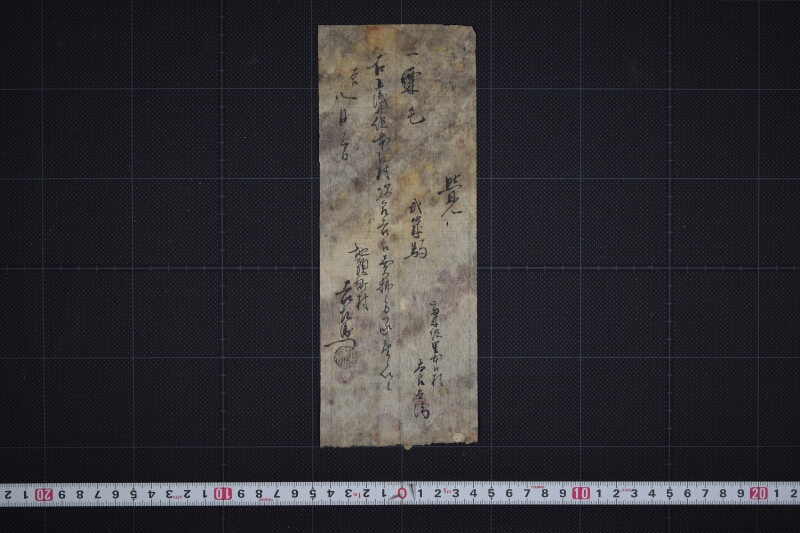 栗毛弐歳駒売払承届書 - ページ 2
