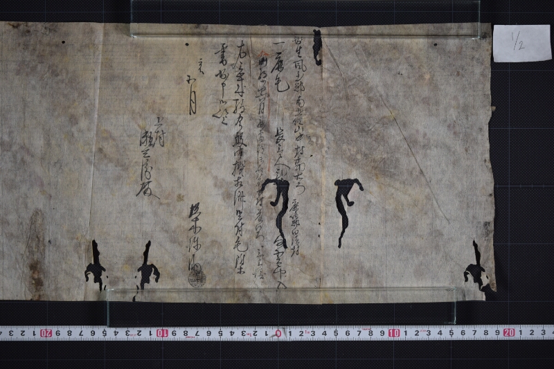 鹿毛三歳駒売渡に付毛附等書出 - ページ 2