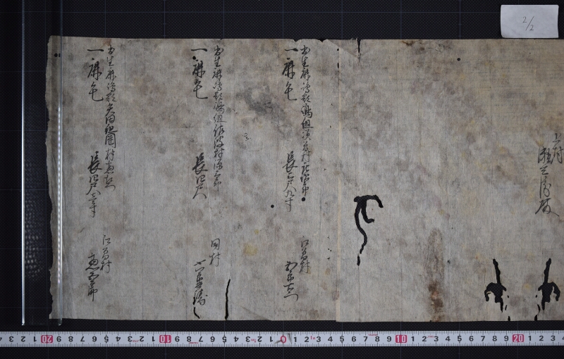 鹿毛三歳駒売渡に付毛附等書出 - ページ 3