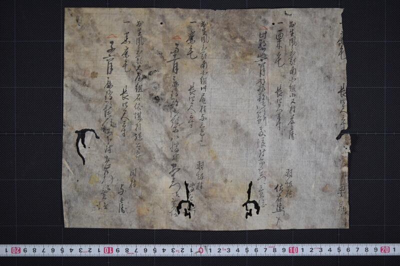 鳳至郡三歳駒毛附等書出申帳（断簡） - ページ 2