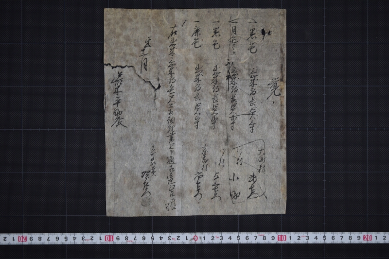 三歳駒毛尺等調理届書 - ページ 2