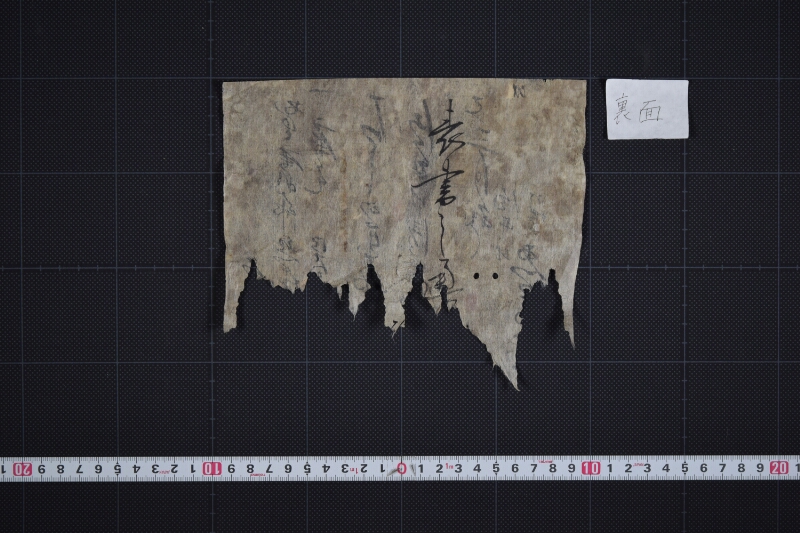 二歳駒毛尺調理書（下部欠） - ページ 3