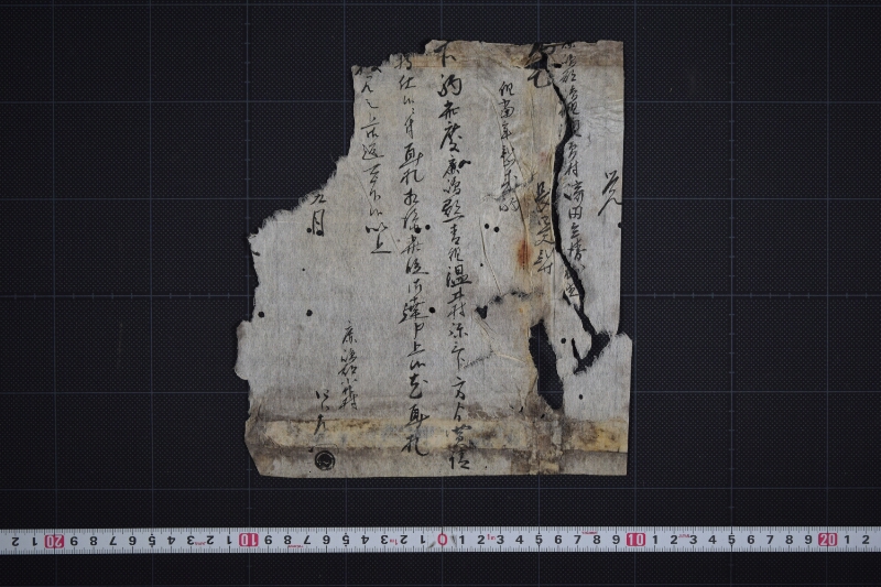 弐歳駒買請届書（後欠） - ページ 2