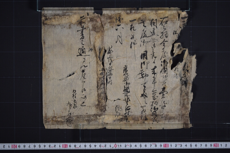 弐歳駒売渡証文 - ページ 2