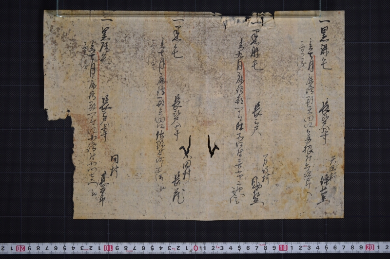 売渡駒毛付等書上 - ページ 2