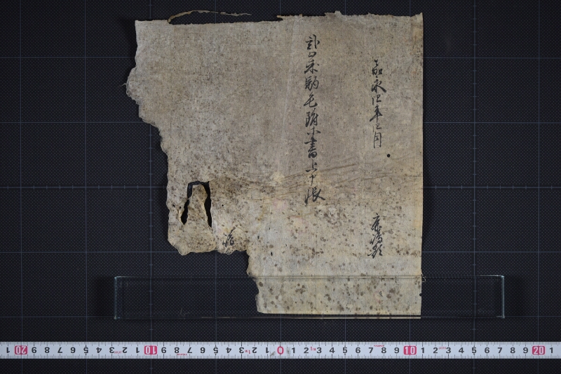 弐駒毛附等書上申帳表紙 - ページ 2