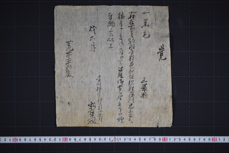 三歳黒毛駒指置聞届願 - ページ 2