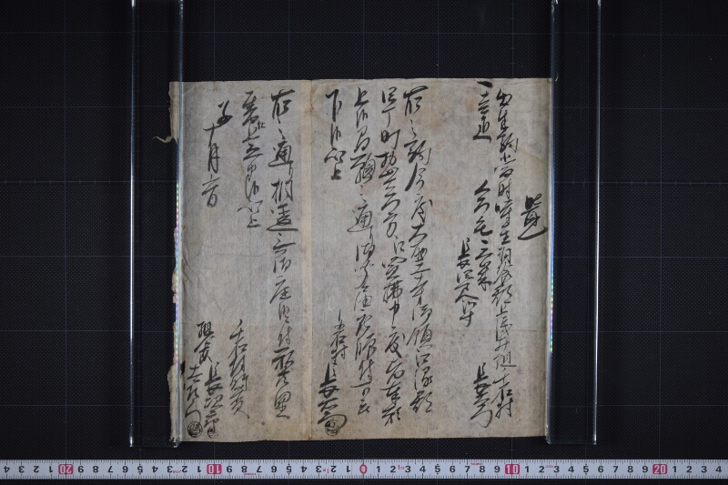 駒売払に付届書(後欠) - ページ 2