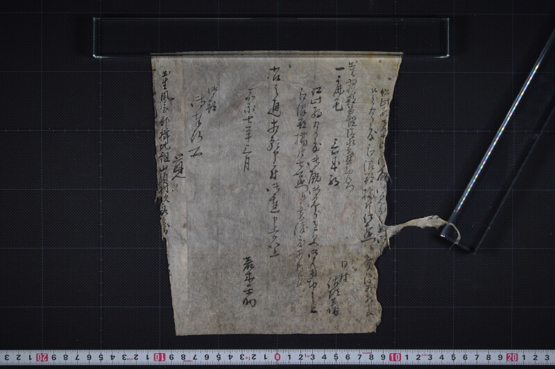 駒売渡方願書（前欠） - ページ 2