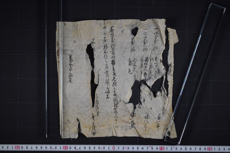 四歳駒毛附等調理書上 - ページ 2